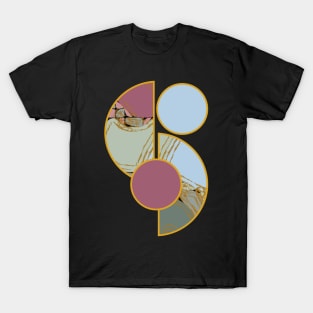 Bright vibrant modern earth tones colors unique original contemporary art 400 Abstract T-Shirt